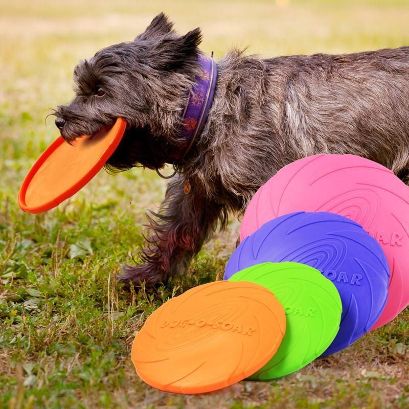 Frisbee Warrior 18cm