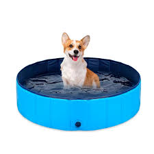 Piscina para mascotas