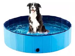 Piscina para mascotas