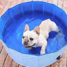 Piscina para mascotas