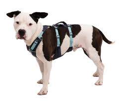 Ruffwear hi & Linght harness -M- Basalt gray