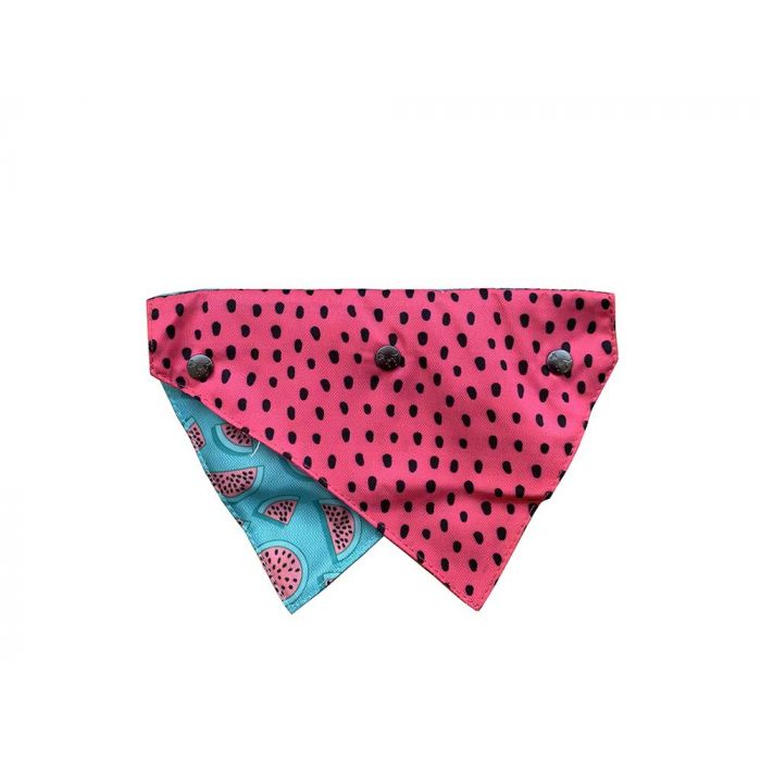 Fuzzyard Bandana- M/L- Summer Punch