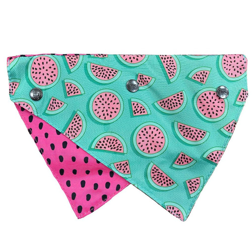 Fuzzyard Bandana- M/L- Summer Punch