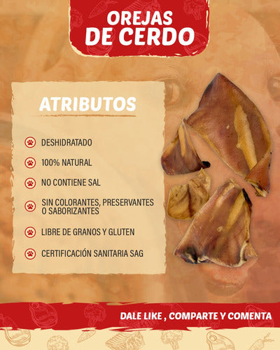 Orejas de Cerdo 4 Unidades.