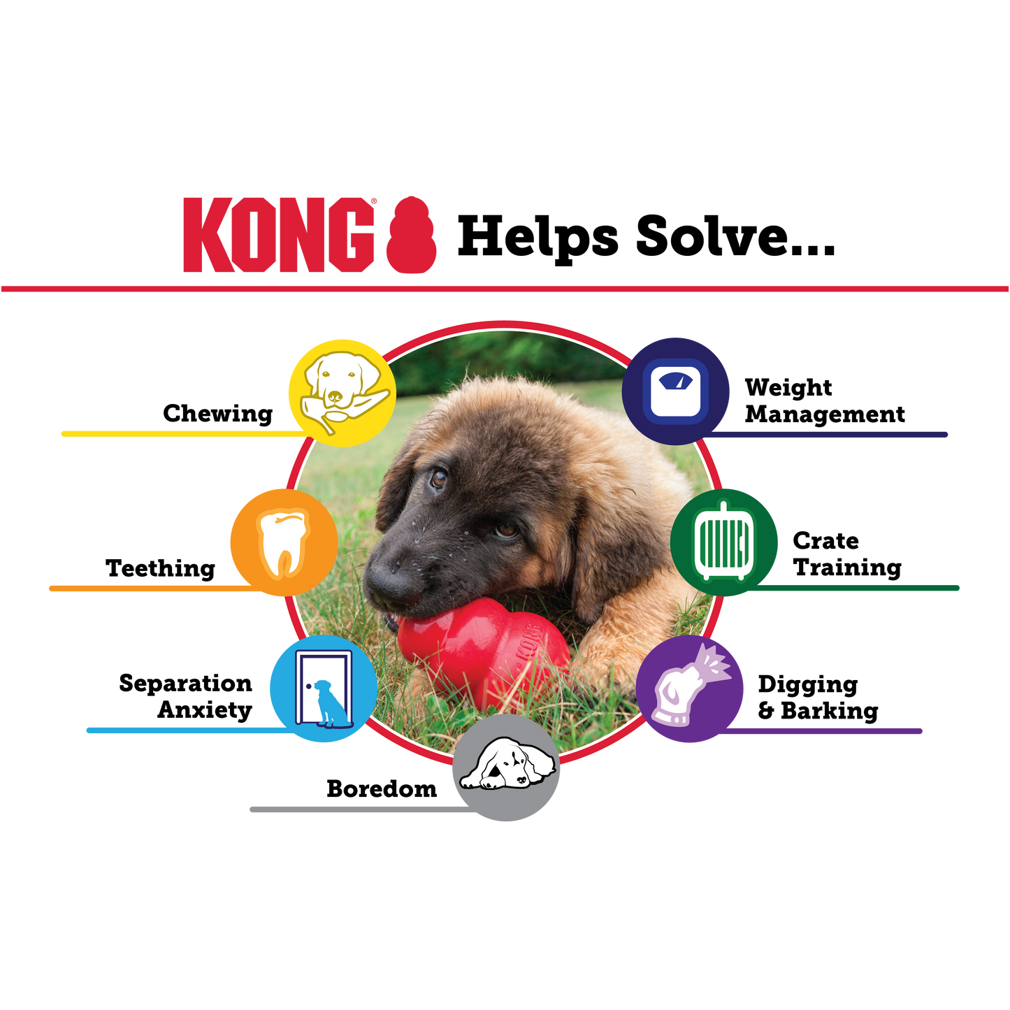 Kong Puppy classic