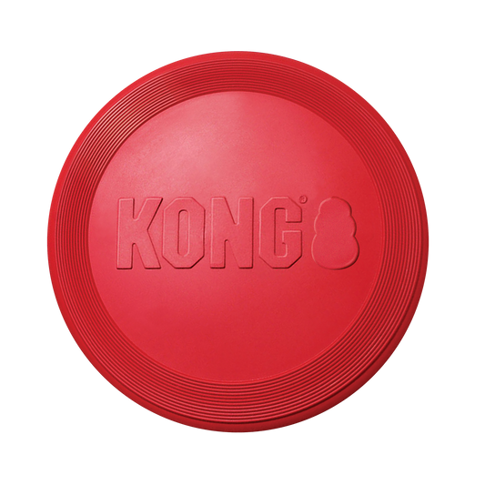 Kong frisbee